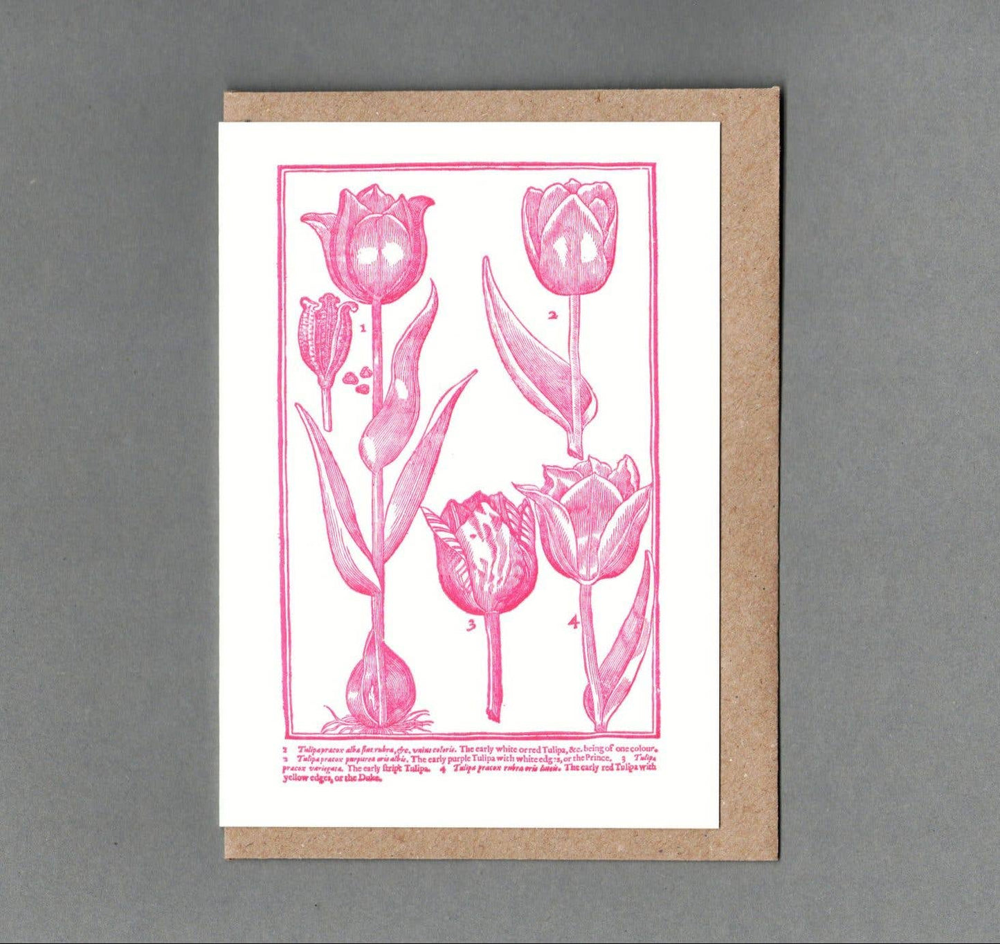 Tulips Letterpress Card by The Passenger Press