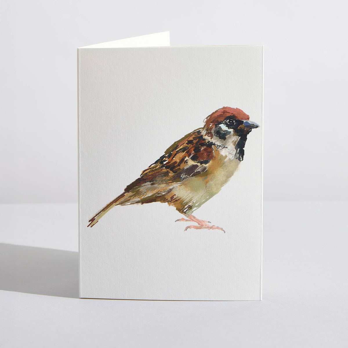Sparrow Bird Nature Lover Concertina Card