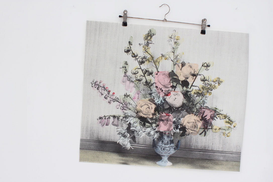 Cabbage Roses (Unframed) by Deborah Bowness