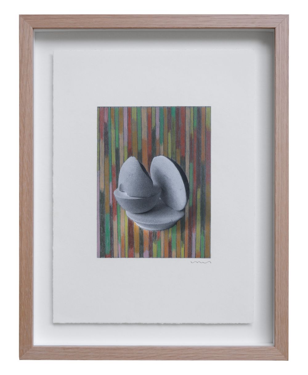 Briofitas (Framed) (2023) by Ines Fernandez de Cordova