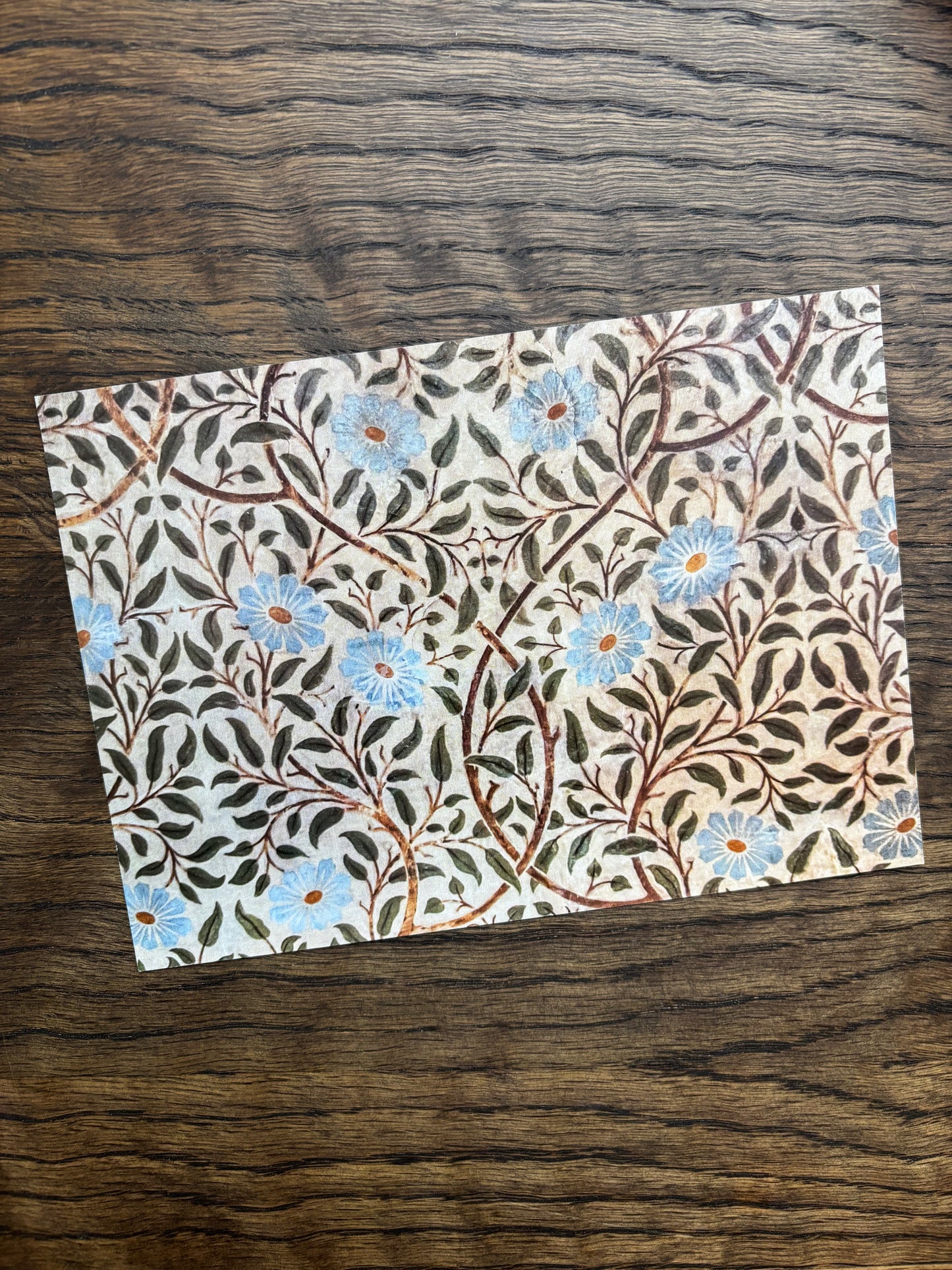 The Kitchen Postcard