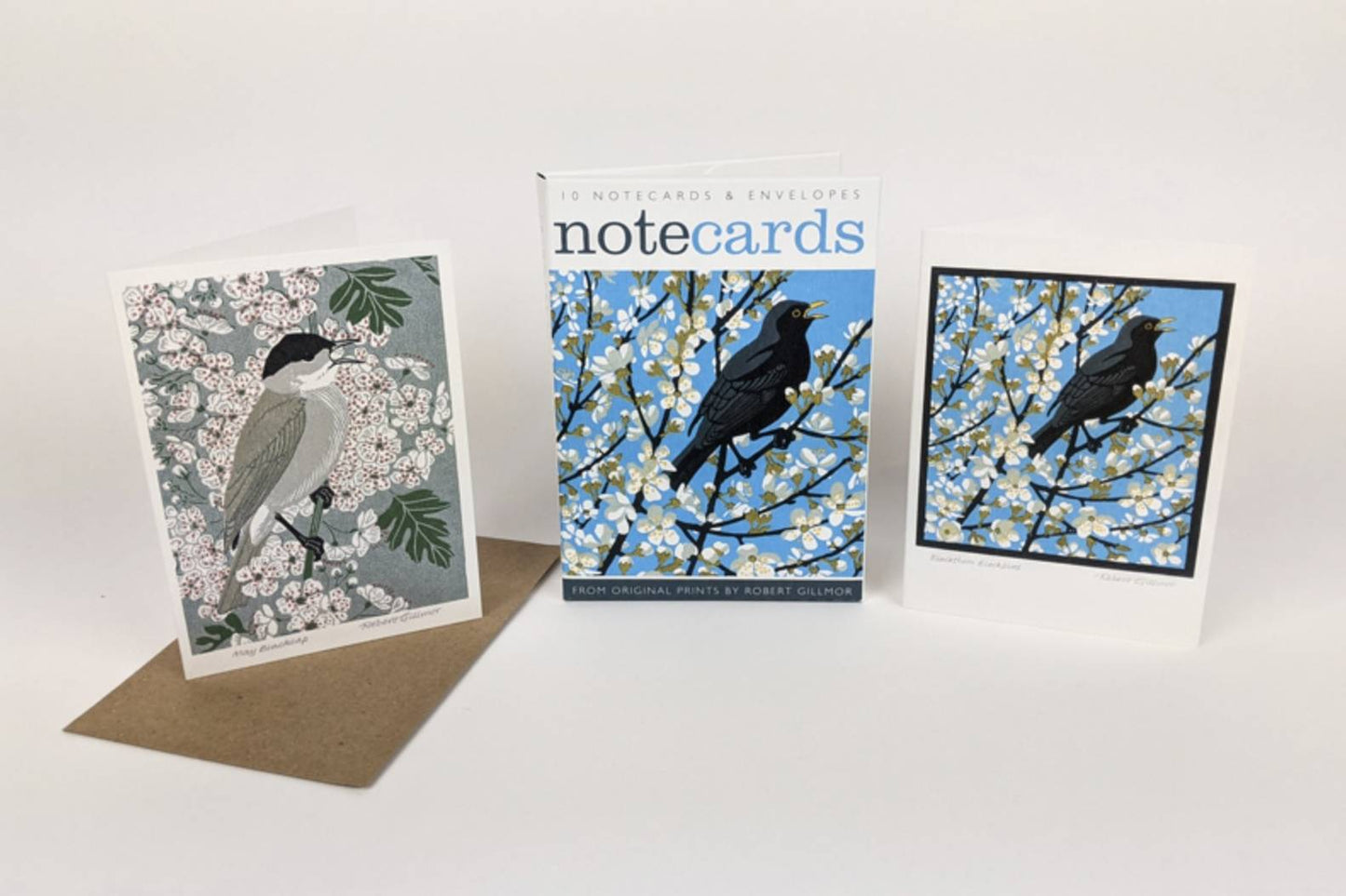 Blackthorn Blackbird and May Blackcap Card Pack by Robert Gillmor