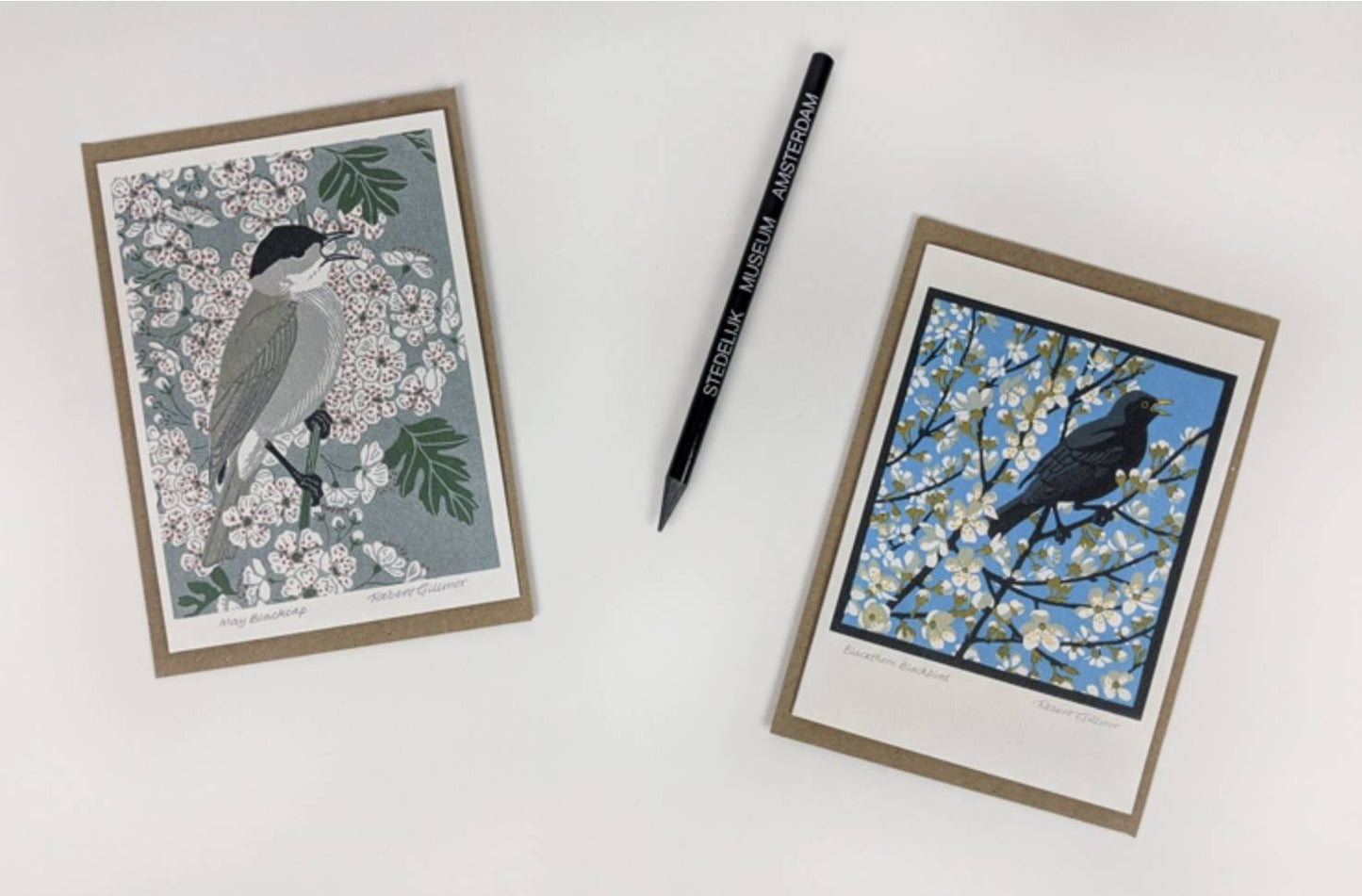 Blackthorn Blackbird and May Blackcap Card Pack by Robert Gillmor