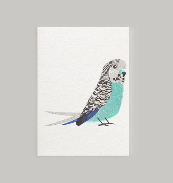 Green Budgie by Bobbie Print