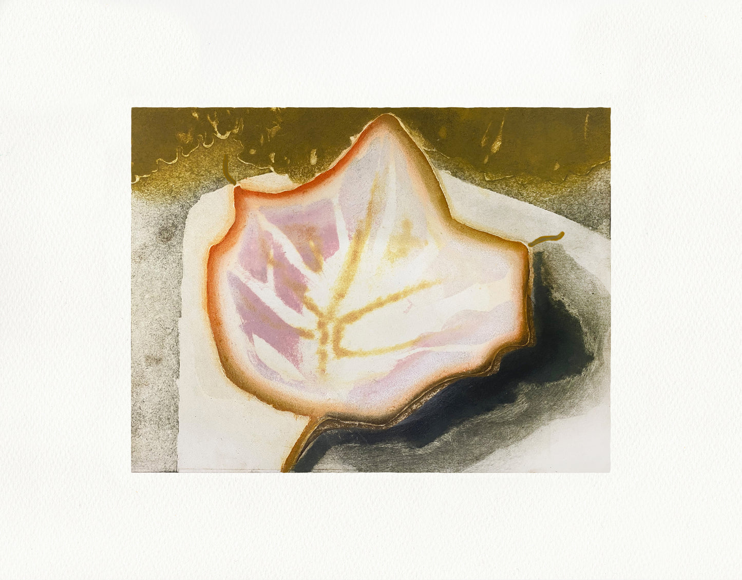 Sycamore (2024) (Framed) by Katherine Jones