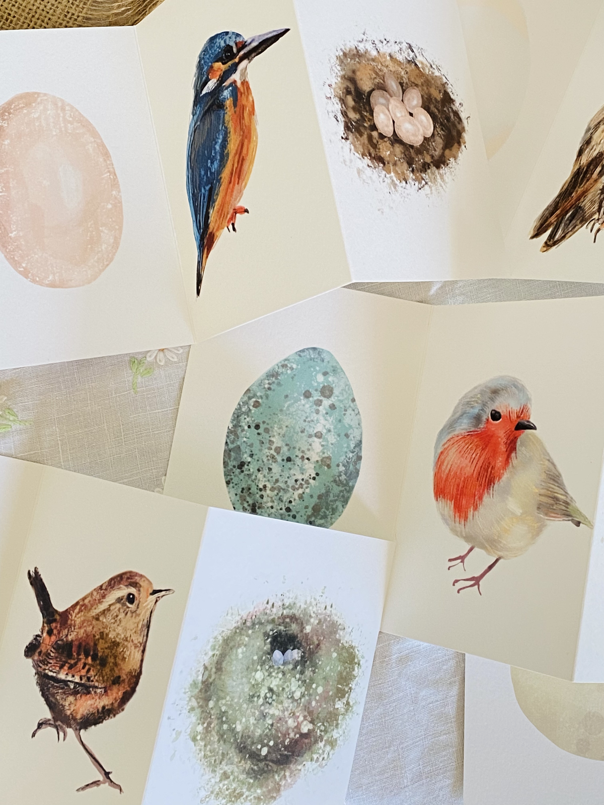 Robin Bird Nature lover Concertina Card