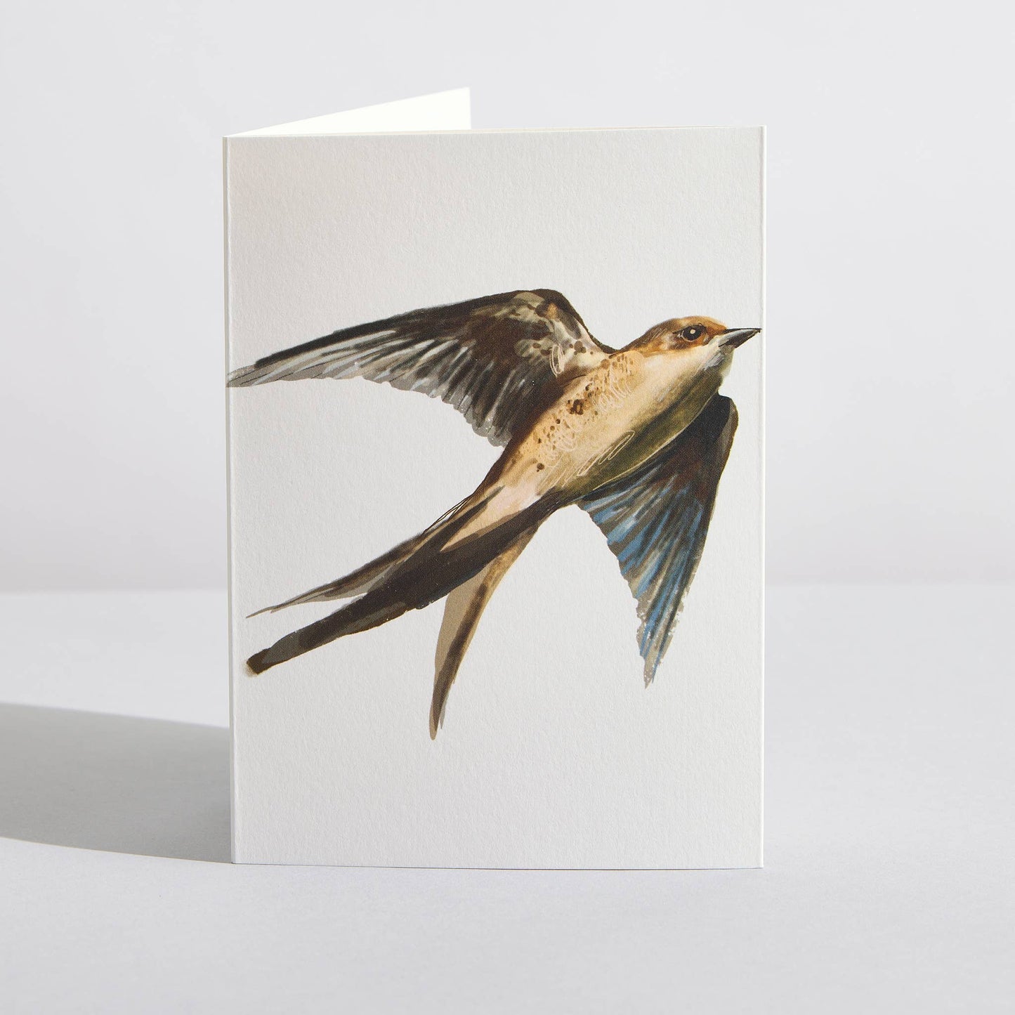 Swift Bird Nature Lover Concertina Card by Sara Sayer