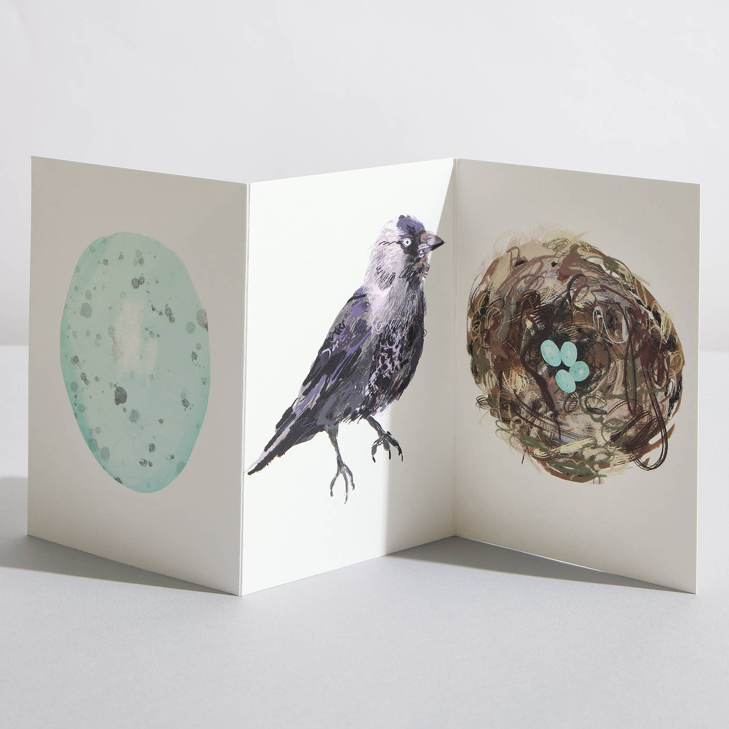 Jackdaw Bird Nature Lover Concertina Card by Sara Sayer