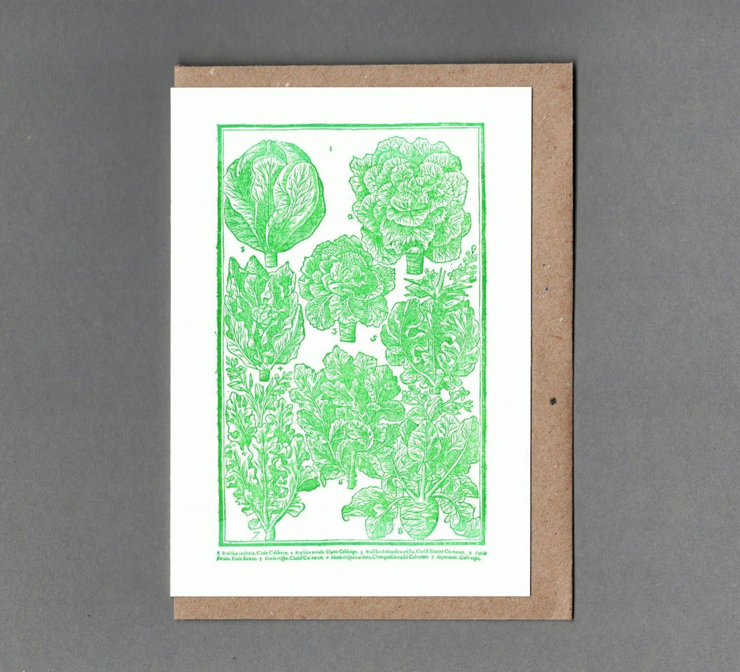 Cabbages Letterpress Card by The Passenger Press