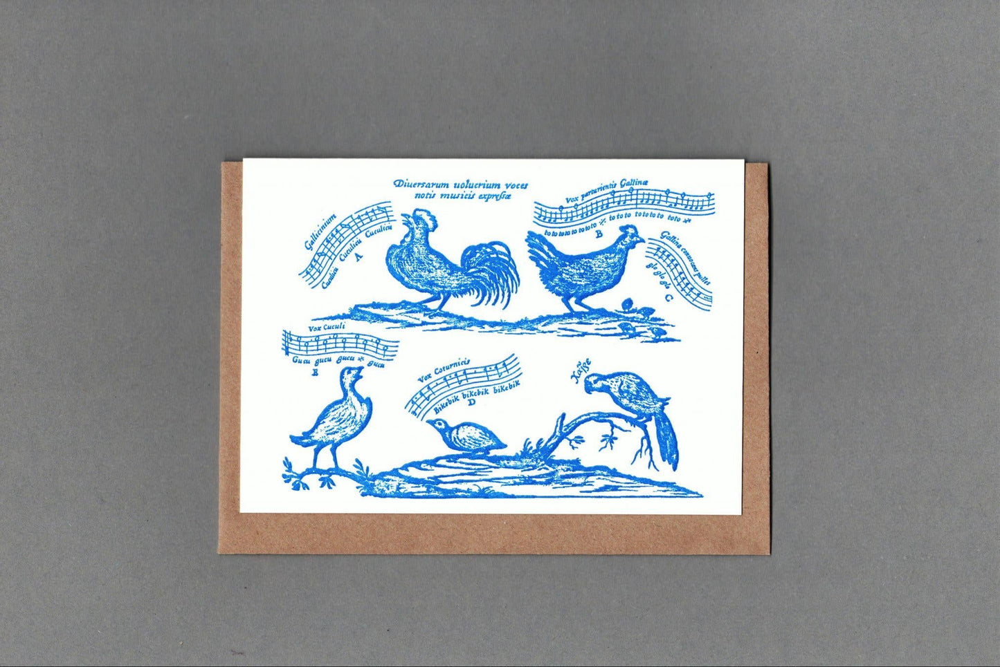 Bird Song Letterpress Card by The Passenger Press