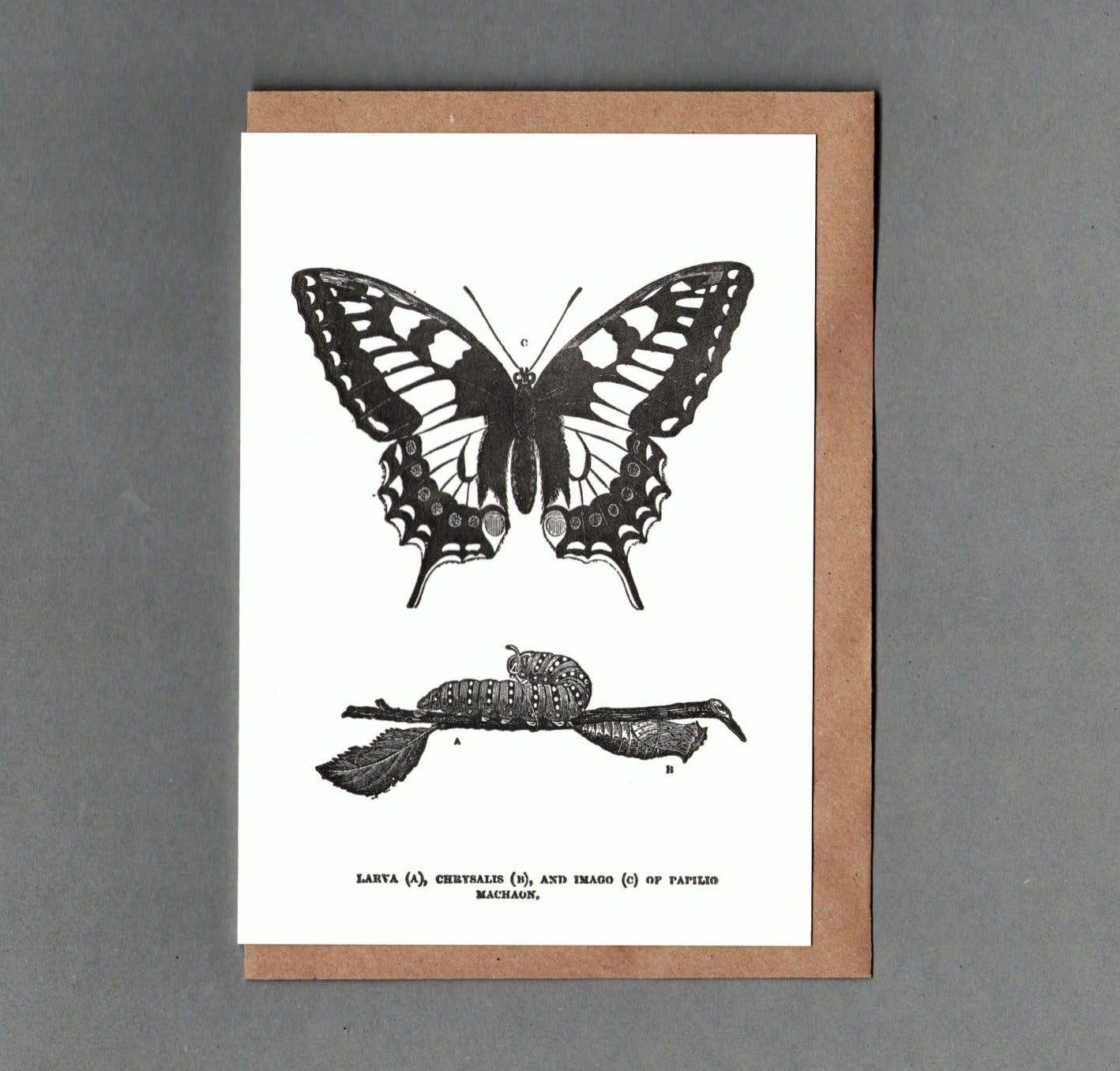 Butterfly Letterpress Card by The Passenger Press