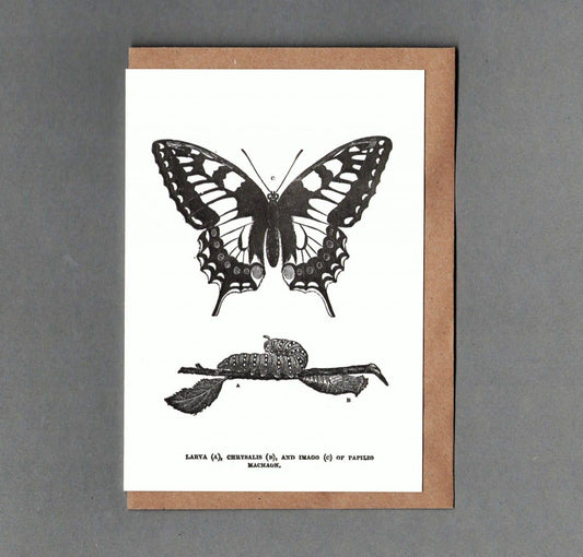 Butterfly Letterpress Card by The Passenger Press
