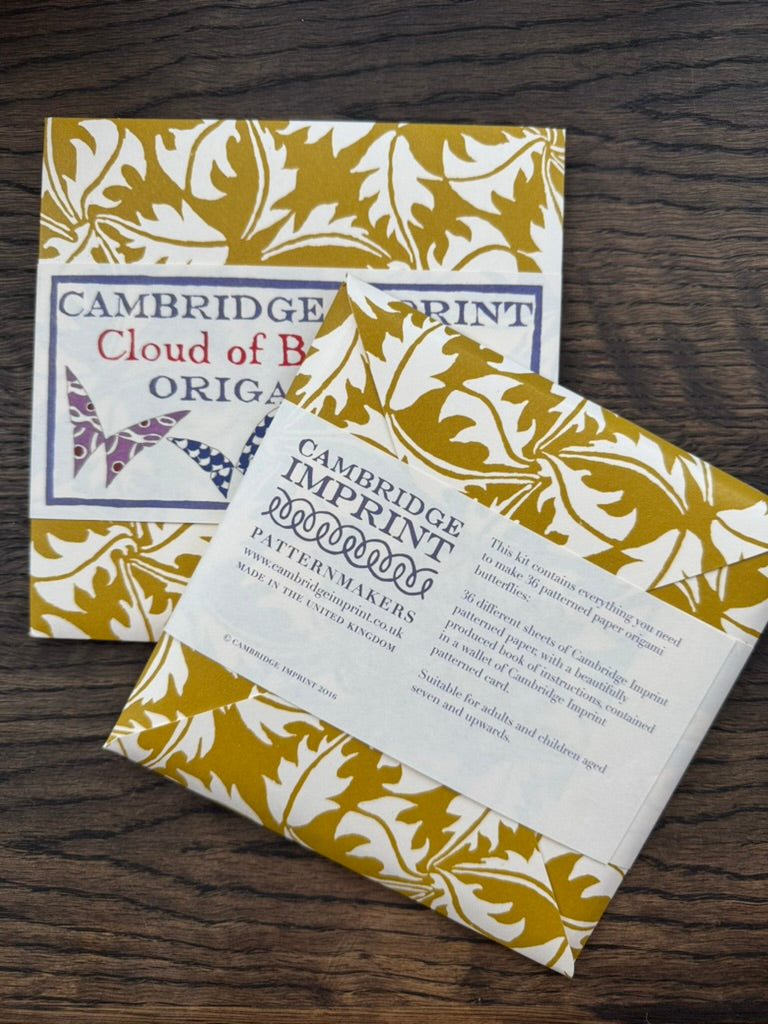 Butterfly Origami Kit by Cambridge Imprint