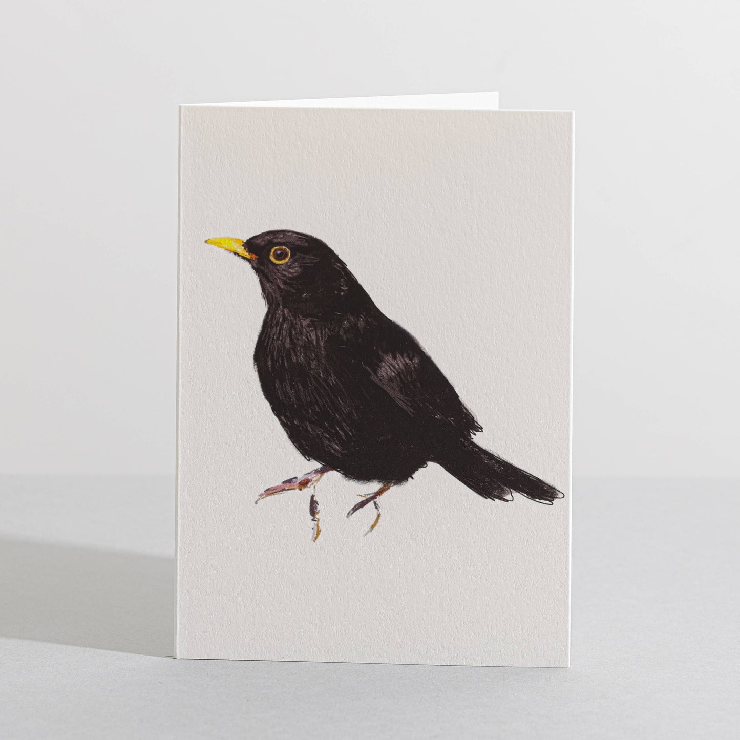 Blackbird Concertina Card by Sara Sayer