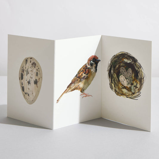 Sparrow Bird Nature Lover Concertina Card