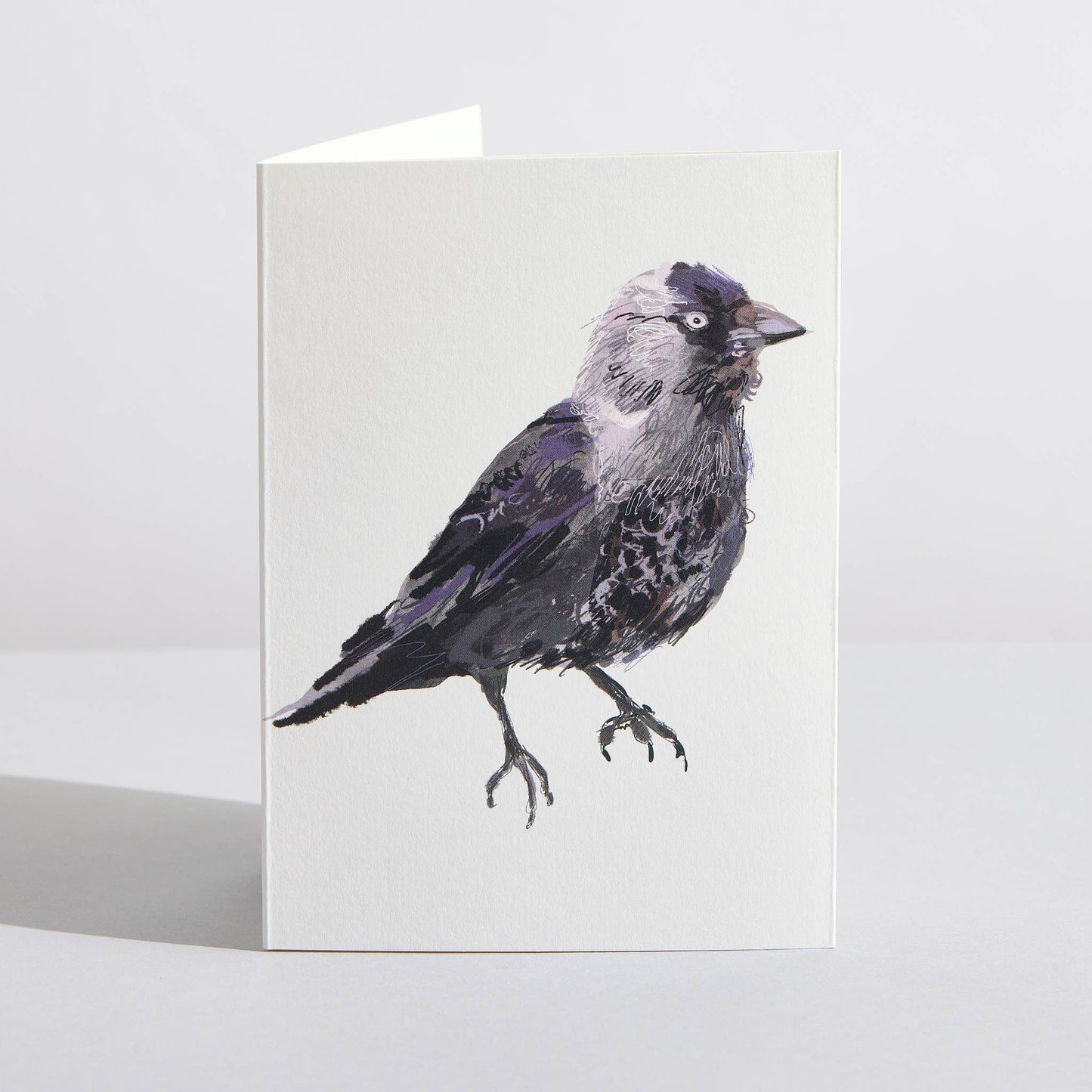 Jackdaw Bird Nature Lover Concertina Card by Sara Sayer
