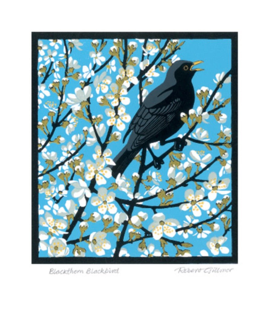 ‘Blackthorn Blackbird’ card by Robert Gillmor