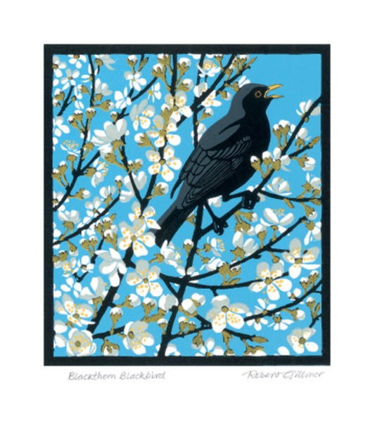‘Blackthorn Blackbird’ card by Robert Gillmor
