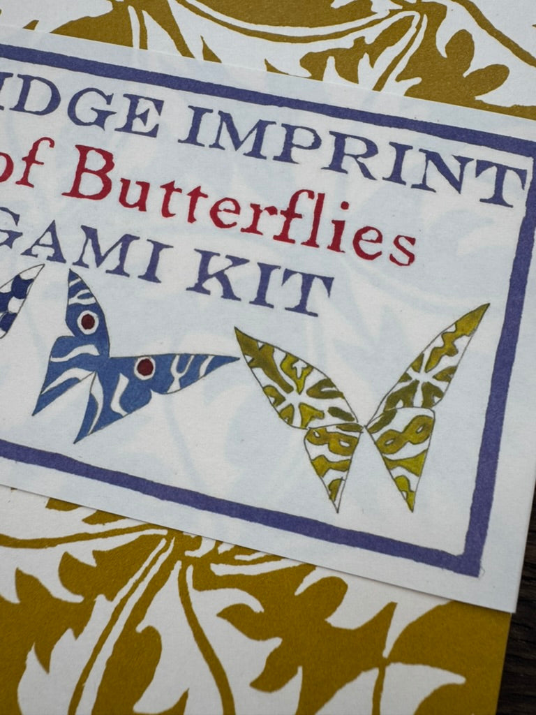 Butterfly Origami Kit by Cambridge Imprint