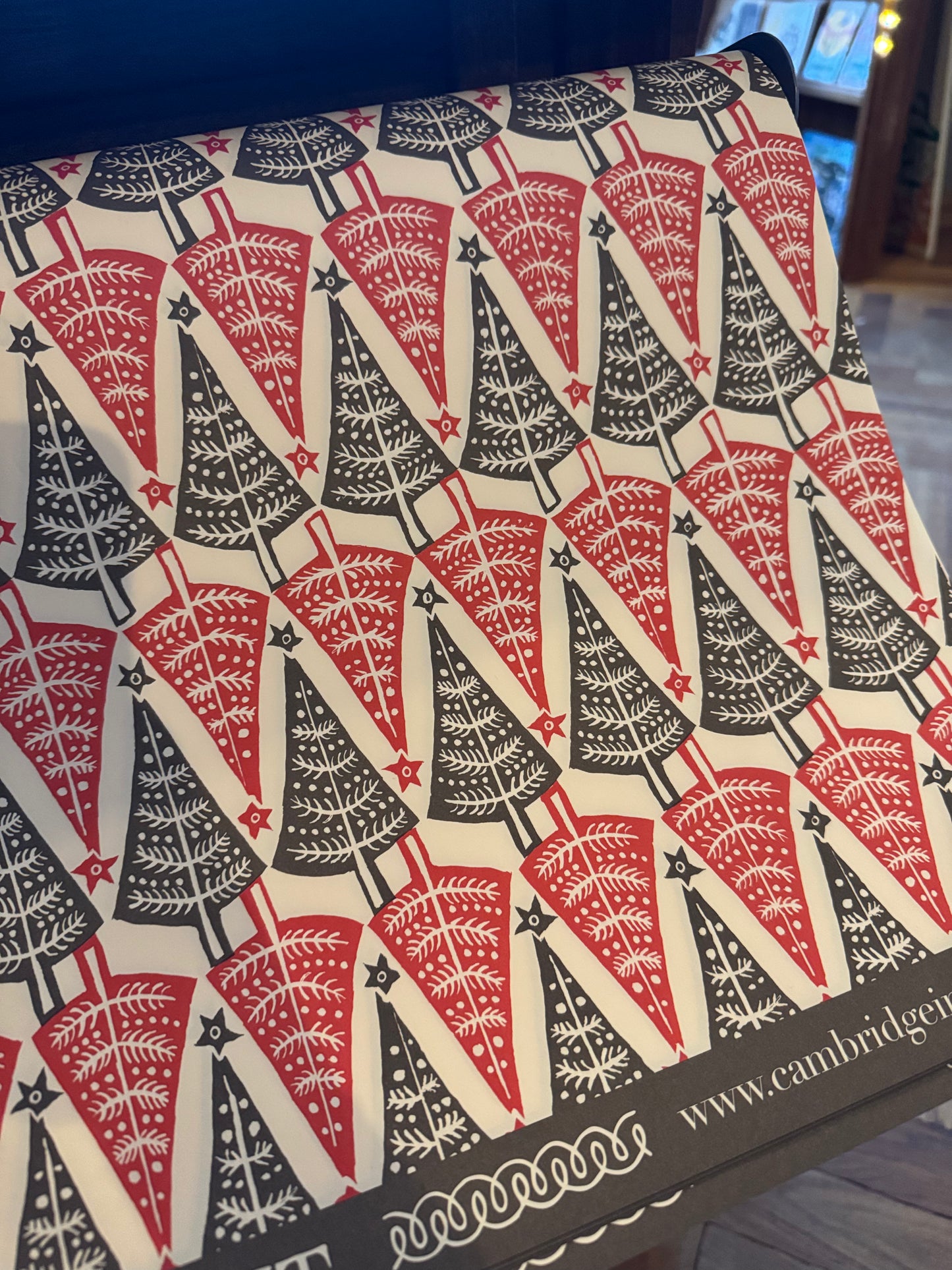 Cambridge Imprint Festive Wrapping Paper
