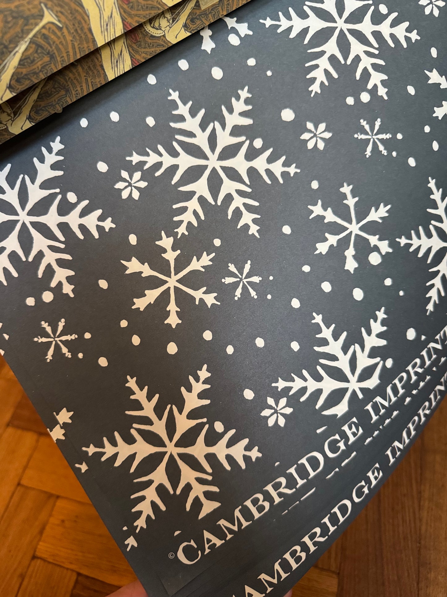 Cambridge Imprint Festive Wrapping Paper