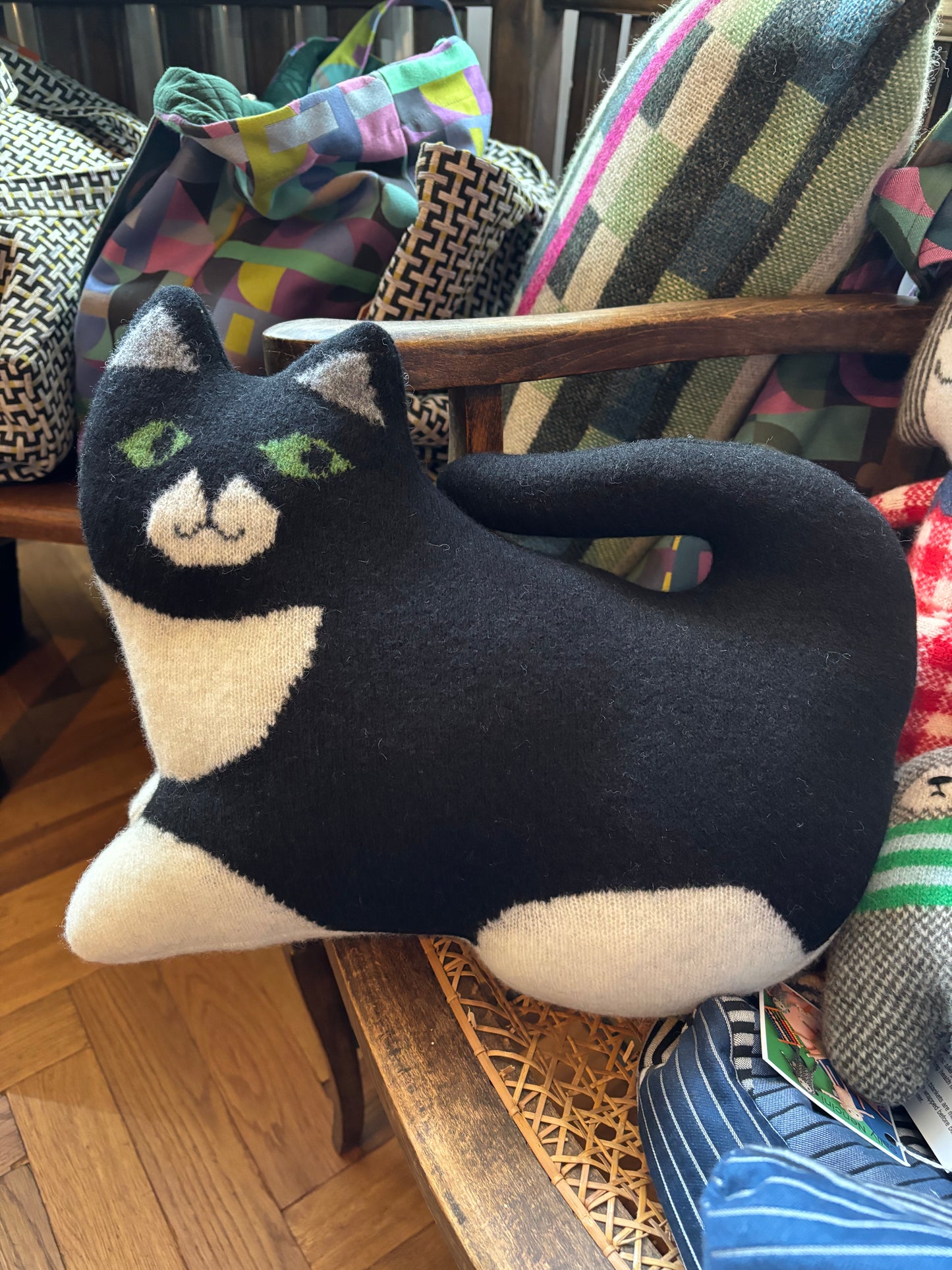 Black Cat by Sally Nencini