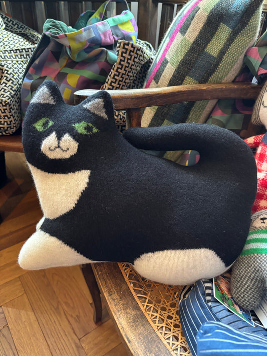 Black Cat by Sally Nencini