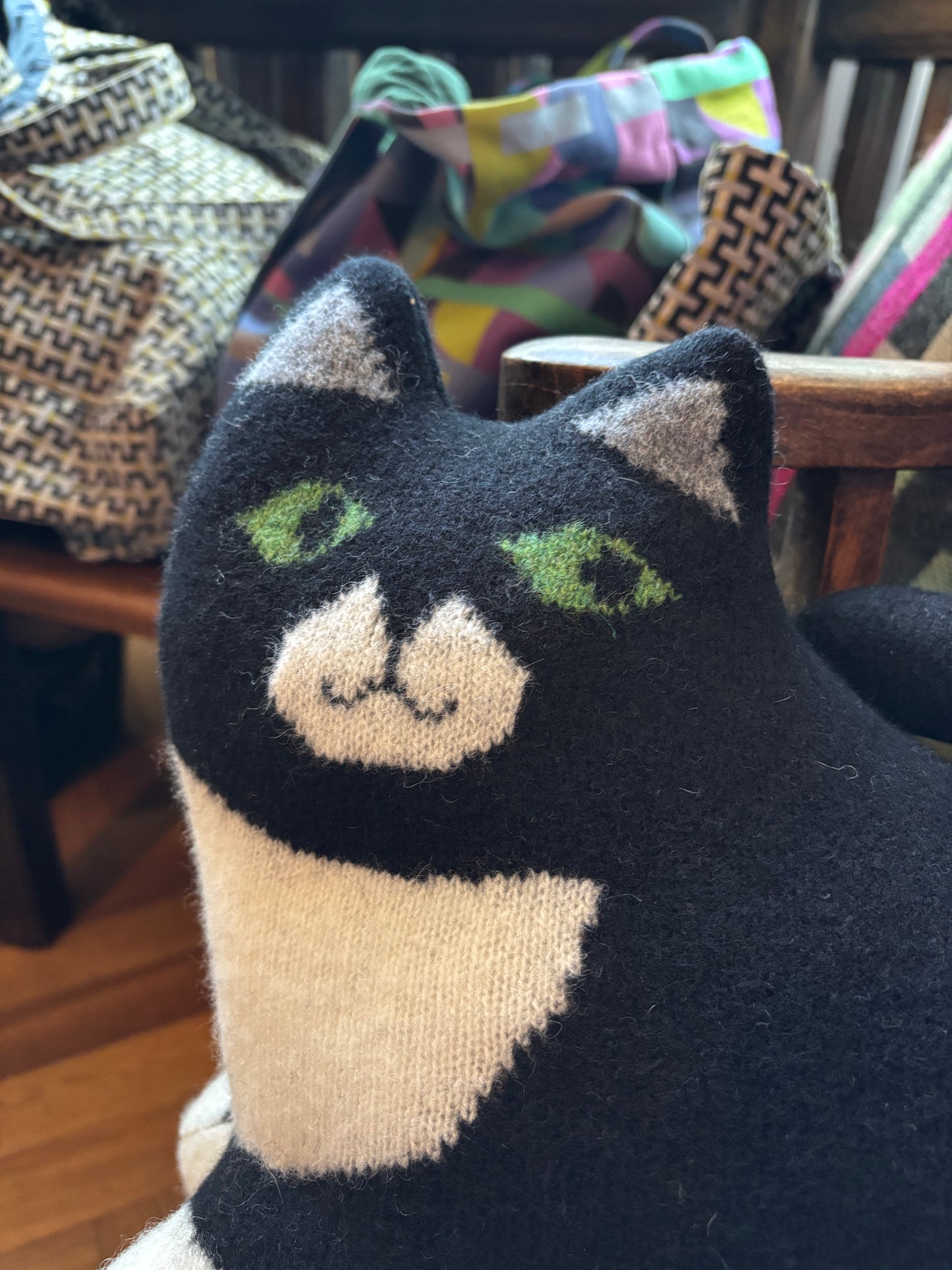 Black Cat by Sally Nencini