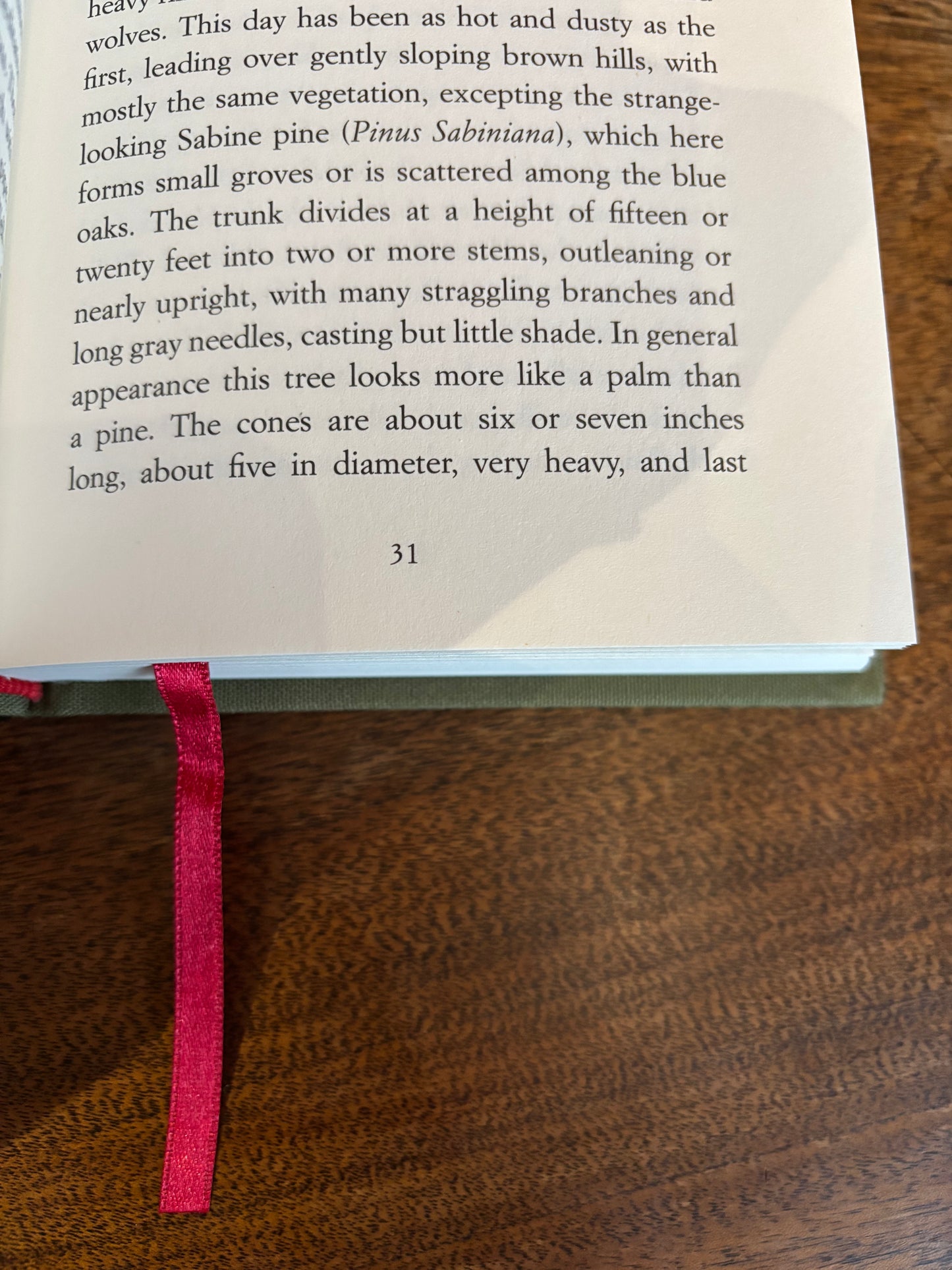 Beneath My Feet: Writers on Walking