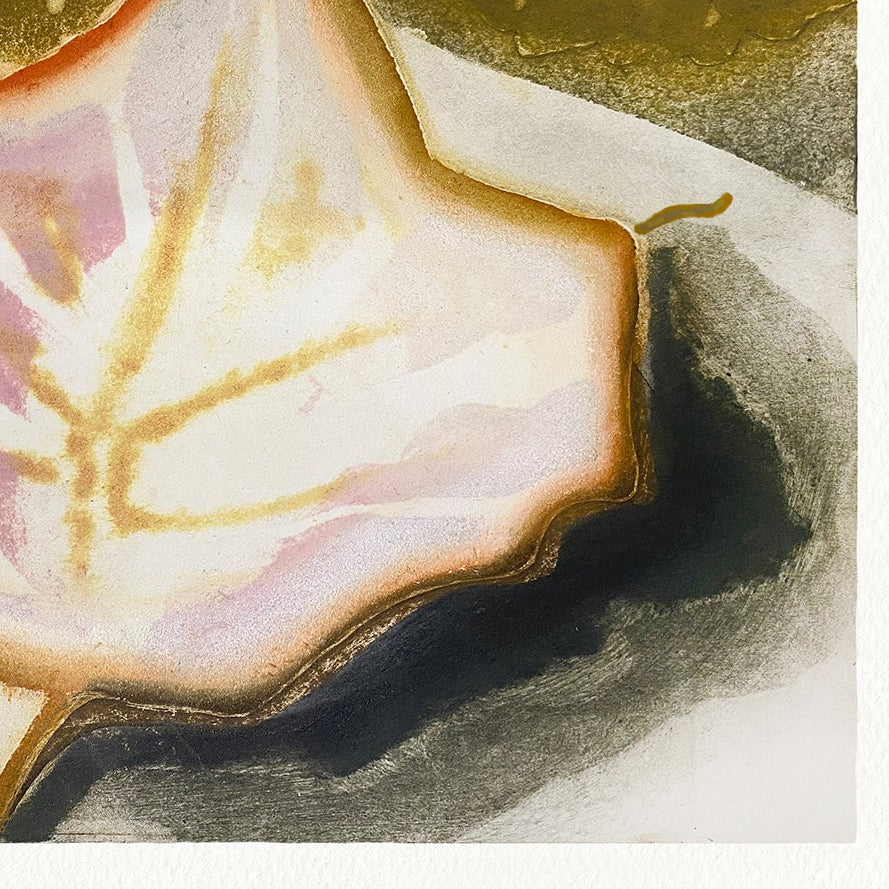 Sycamore (2024) (Gerahmt) von Katherine Jones