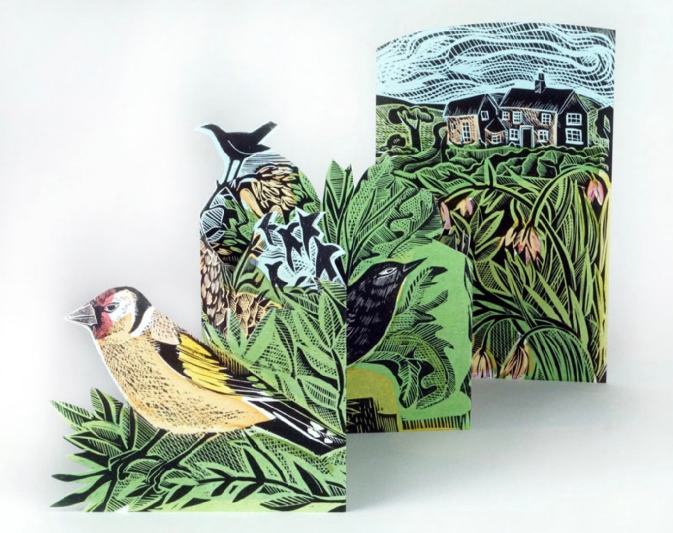 ’Garden Birds’ pop up card by Angela Harding