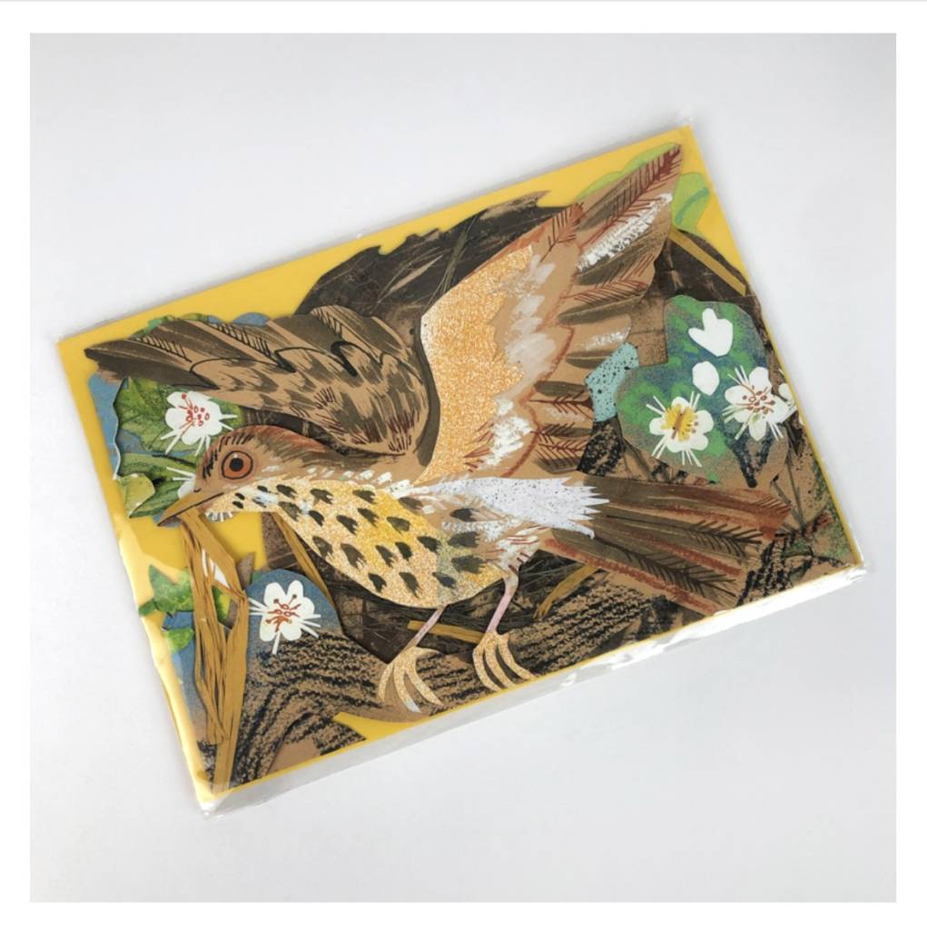 ’Nest' pop- up greetings card by Mark Hearld