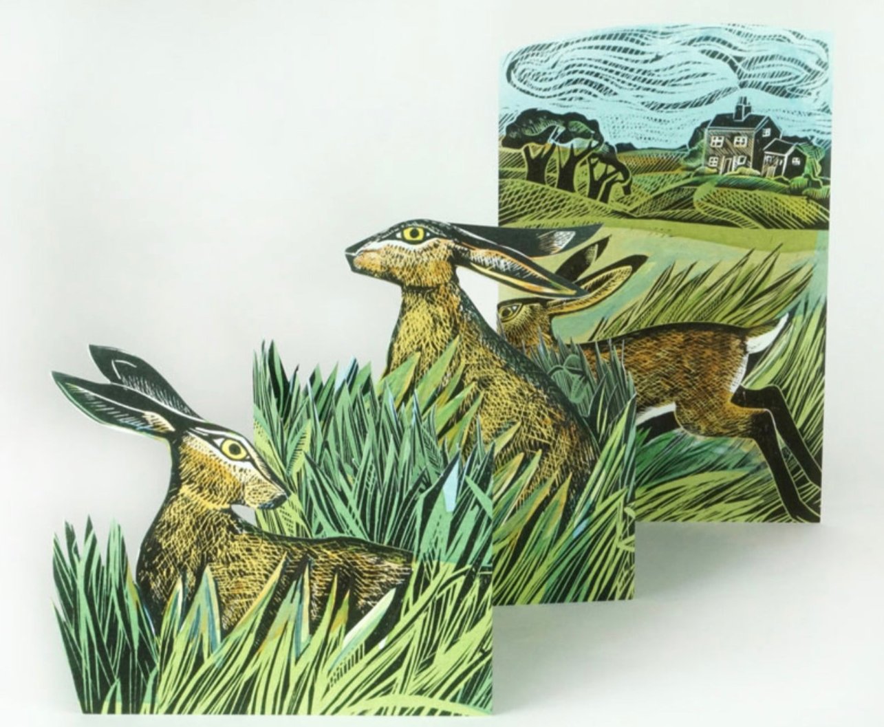 Hares and Open Fields pop up card by Angela Harding