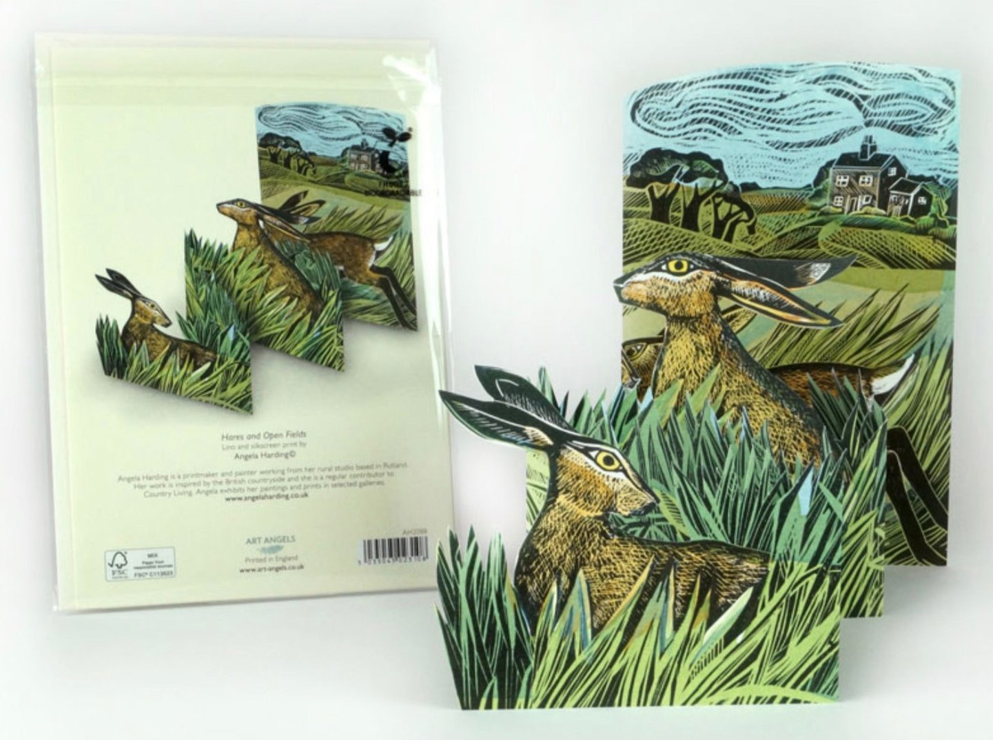 Hares and Open Fields pop up card by Angela Harding