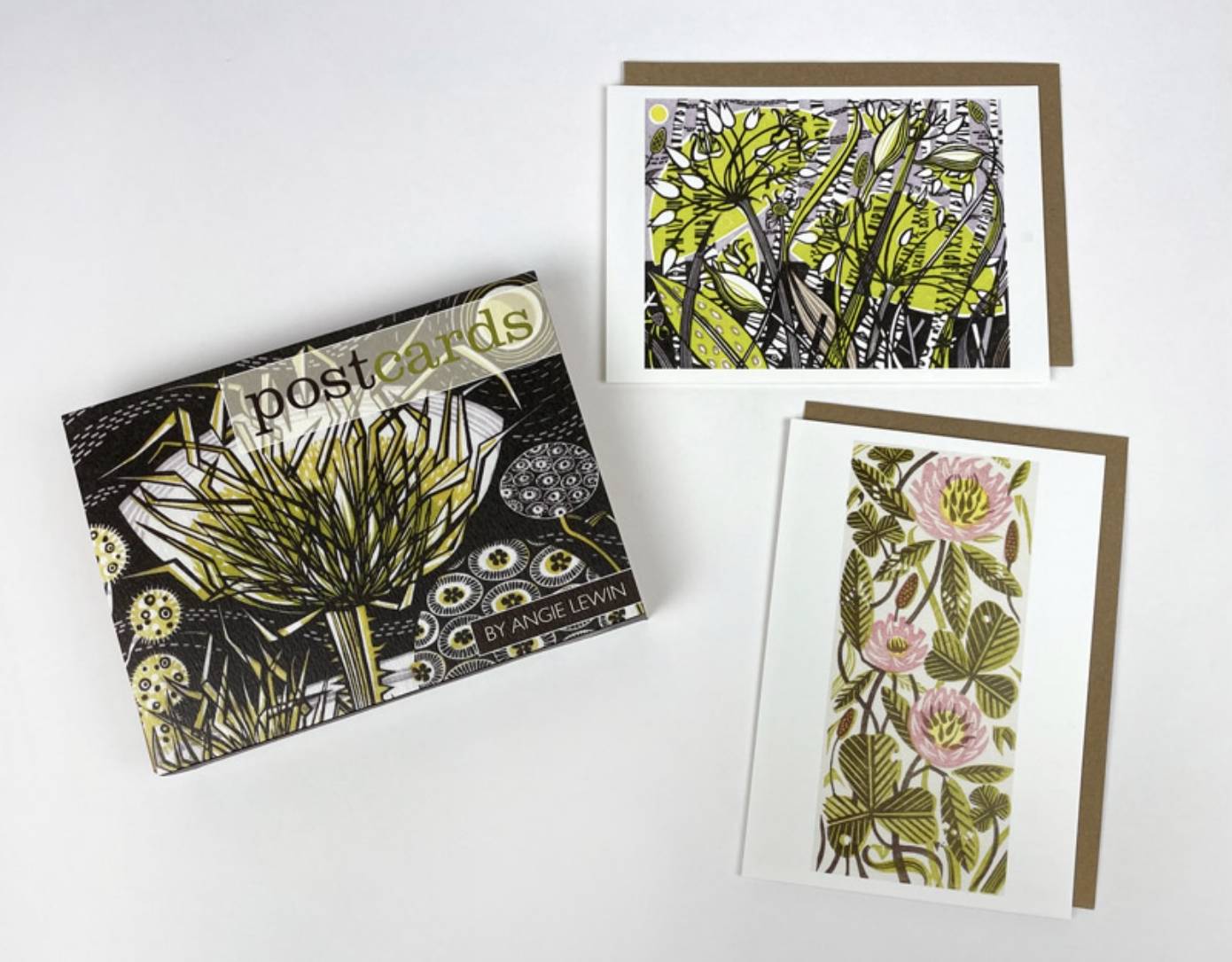 12 Postcards with Envelopes by Angie Lewin