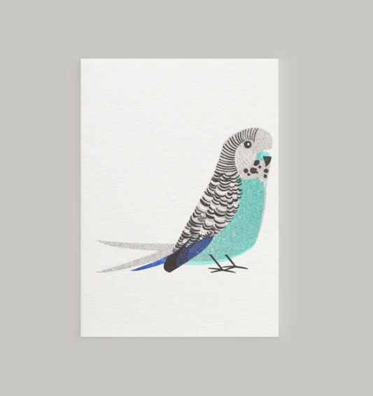 Green Budgie by Bobby Print