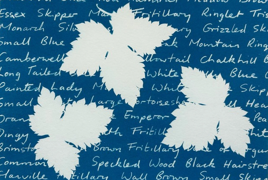 The Art of Cyanotype with Susie Turner