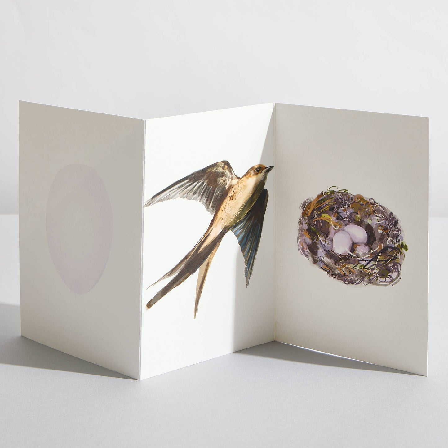 Swift Bird Nature Lover Concertina Card by Sara Sayer