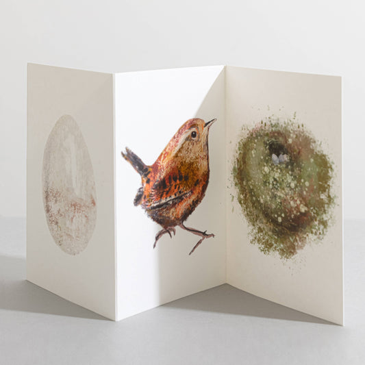 Wren Bird Nature Lover Concertina Card