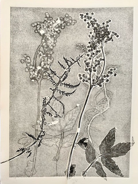 Nature Printing from David Parr’s Garden with Caroline Wendling