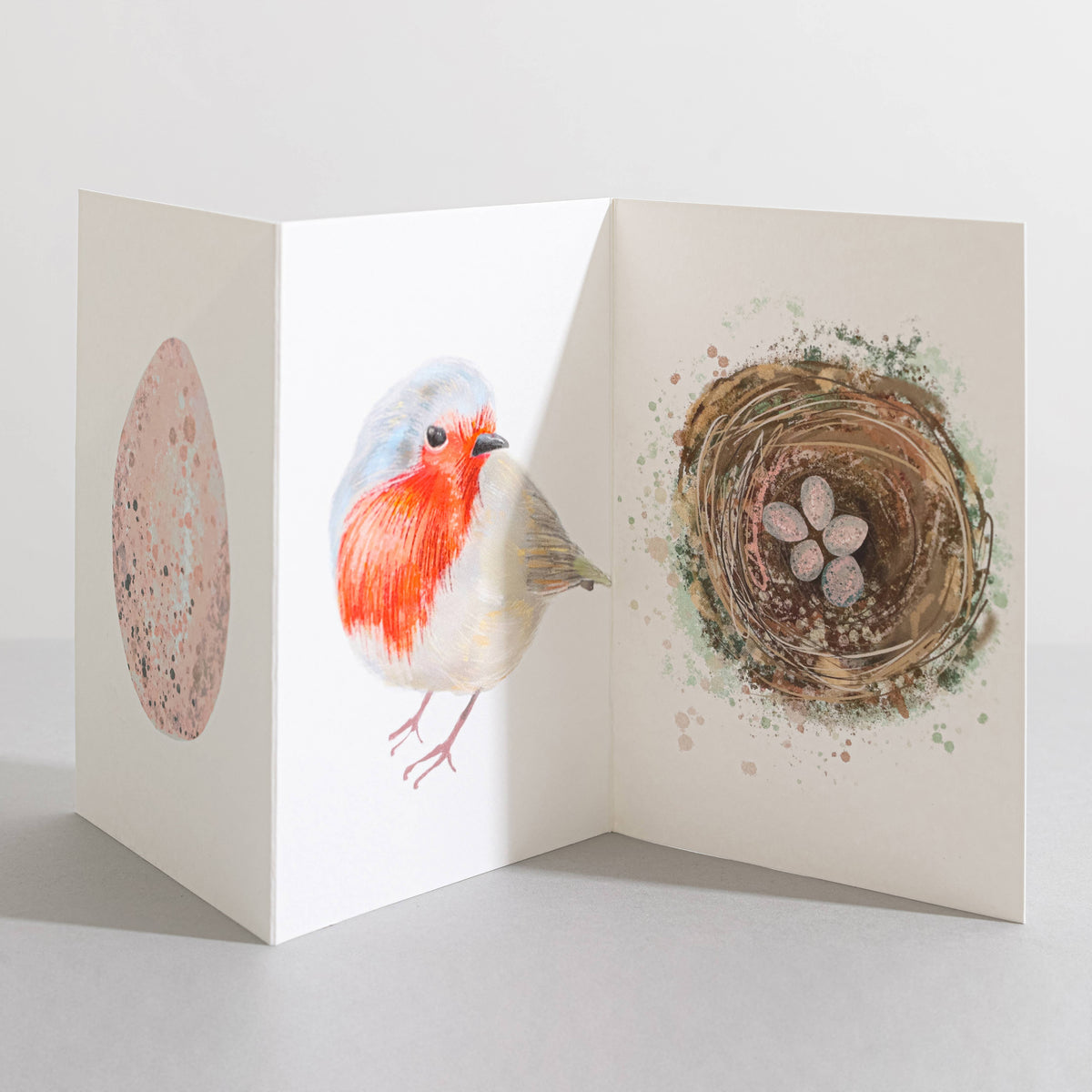 Robin Bird Nature lover Concertina Card