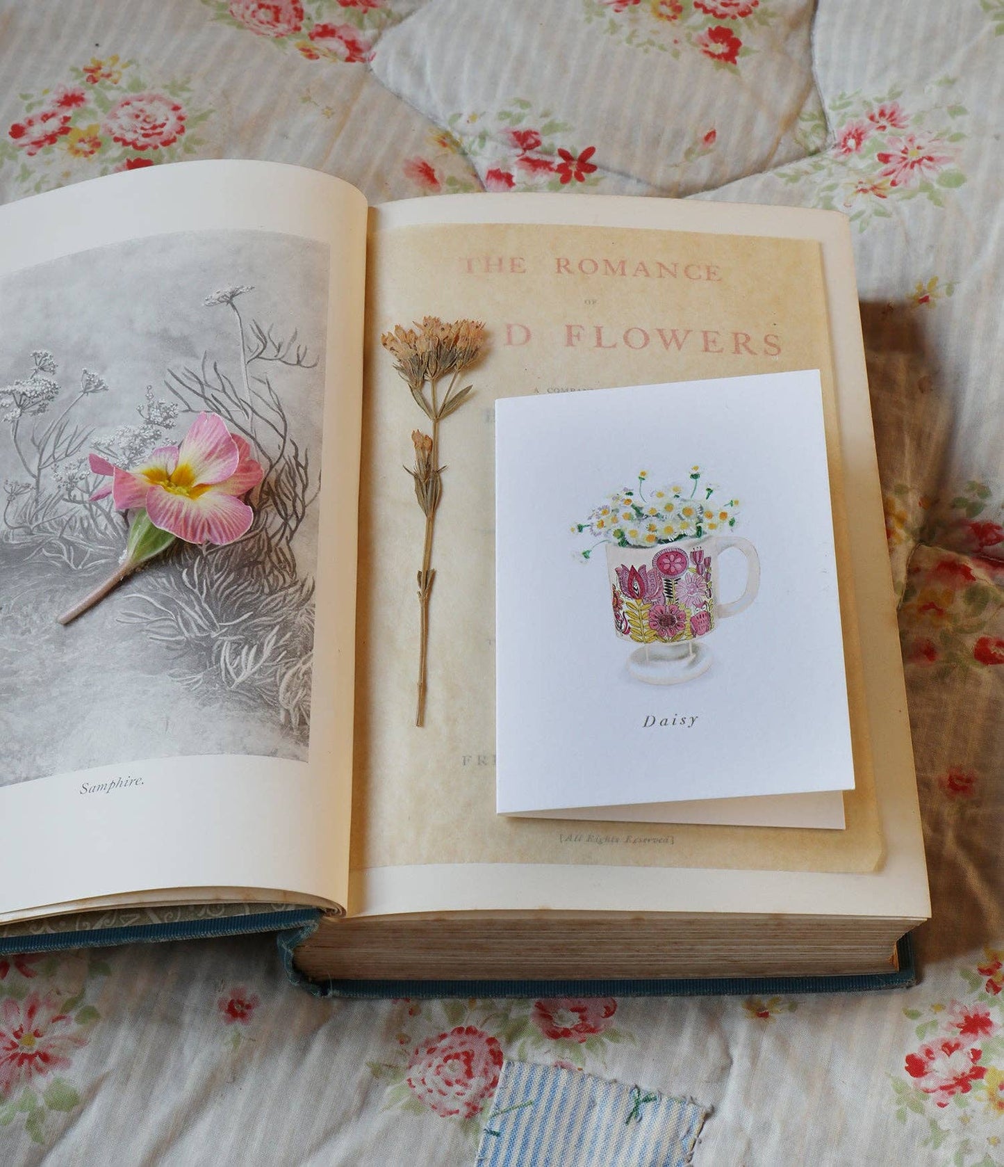 Daisy Botanical Flower Eco Mini Card by Sara Sayer