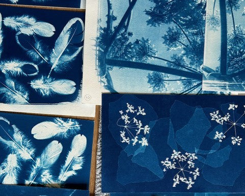 The Art of Cyanotype with Susie Turner