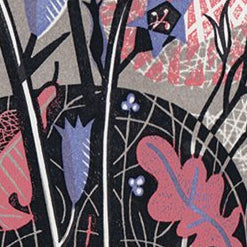 Waldlichtung (ungerahmt) von Clare Curtis